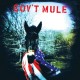 GOV'T MULE-GOV'T MULE -DELUXE/LTD- (2LP)