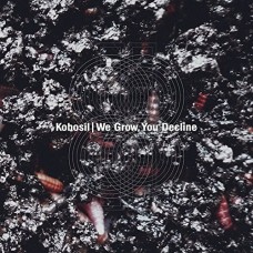KOBOSIL-WE GROW, YOU DECLINE (2LP)