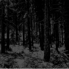 MOLOCH-ABSTRAKTER WALD (CD)