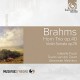 J. BRAHMS-TRIO POUR COR, VIOLON ET (CD)