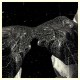 SECRET BOYFRIEND-MEMORY CARE UNIT (LP)