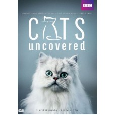 DOCUMENTÁRIO-CATS UNCOVERED (DVD)