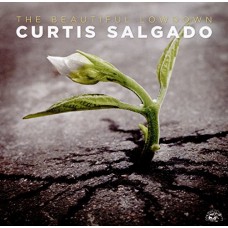 CURTIS SALGADO-BEAUTIFUL LOWDOWN (CD)