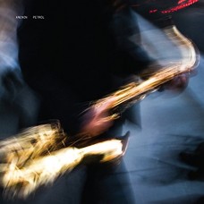 ANENON-PETROL (LP)