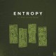 ENTROPY-ALL WORK, NO PLAGIARSM (LP)