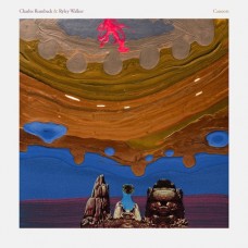 RYLEY WALKER-CANNOTS (LP)
