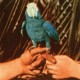 ANDREW BIRD-ARE YOU SERIOUS -DELUXE- (2LP)