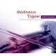 V/A-MEDITATION TZIGANE (CD)