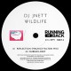 DJ JNETT-WILDLIFE (12")