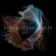 SASHA-LATE NIGHT TALES PRES... (CD)
