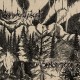 PANOPTICON-SPLIT (CD)