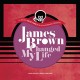 V/A-JAMES BROWN CHANGED MY.. (LP)