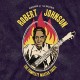 ROBERT JOHNSON-GENIUS OF THE BLUES -.. (2LP)