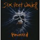 SIX FEET UNDER-HAUNTED (LP)