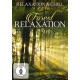 SPECIAL INTEREST-FOREST RELAXATION (DVD)