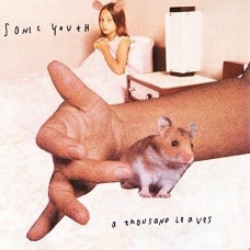 SONIC YOUTH-A THOUSAND LEAVES (2LP)