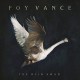 FOY VANCE-WILD SWAN (CD)