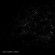 LESLEY FLANIGAN-HEDERA (CD)