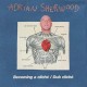ADRIAN SHERWOOD-BECOMING A CLICHE/DUB.. (2CD)