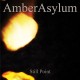 AMBER ASYLUM-STILL POINT (CD)