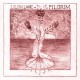 LILITH LANE-PILGRIM (CD)