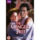 SÉRIES TV-GINGER TREE (DVD)