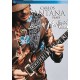CARLOS SANTANA-PLAYS BLUES AT MONTREUX 2004 (DVD)