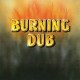 REVOLUTIONARIES-BURNING DUB (LP)