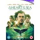 FILME-IN THE HEART OF THE SEA (DVD)
