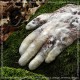 ANTWOOD-VIRTUOUS.SCR. (LP)