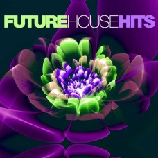 V/A-FUTURE HOUSE HITS (2CD)