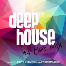 V/A-DEEP HOUSE IN THE MIX (2CD)