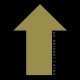 XOLA-LOOKING UP (CD)