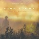 DARSHAN AMBIENT-FIRE LIGHT (CD)