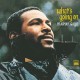 MARVIN GAYE-WHAT'S GOING ON -HQ- (LP)