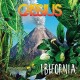 CASSIUS-IBIFORNIA (CD)