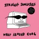 TERMINAL SUNGLASSES-WRAP AROUND COOL (CD)