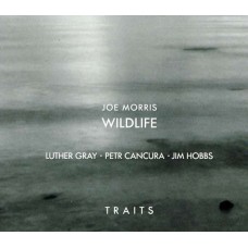 JOE MORRIS/WILDLIFE-TRAITS (CD)