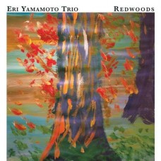 ERI YAMAMOTO TRIO-REDWOODS -DG- (CD)