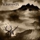 WAYFARER-OLD SOULS (CD)