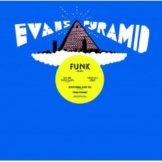 EVANS PYRAMID-NEVER GONNA LEAVE YOU (12")