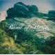BAND OF HORSES-MIRAGE ROCK (LP)