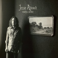 JESSE AYCOCK-FLOWERS & WOUNDS (CD)