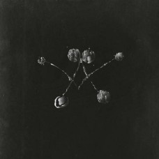 WATERSTRIDER-NOWHERE NOW (CD)