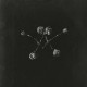 WATERSTRIDER-NOWHERE NOW (CD)