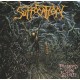 SUFFOCATION-PIERCED FROM WITHIN (LP)
