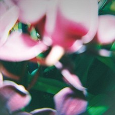 TRADE WIND-YOU MAKE EVERYTHING (CD)