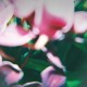 TRADE WIND-YOU MAKE EVERYTHING (CD)