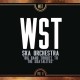 WESTERN STANDARD TIME-BIG BAND TRIBUTE TO THE SKATALITES VOL 2 (CD)