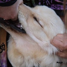 CHRISTIAN FENNESZ & JIM O'ROURKE-IT'S HARD FOR ME TO SAY.. (CD)